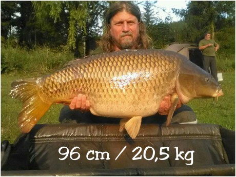 15.6.96cm, 20.5kg Nový rekord rybníka - největší kapr (cm)